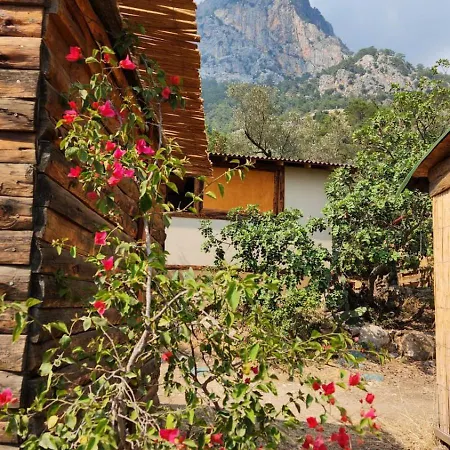 Kabak Nova Camp Bungalovs * Φετιγιέ
