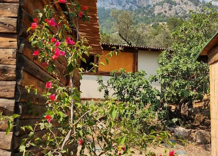 Kabak Nova Camp Bungalovs * Fethiye