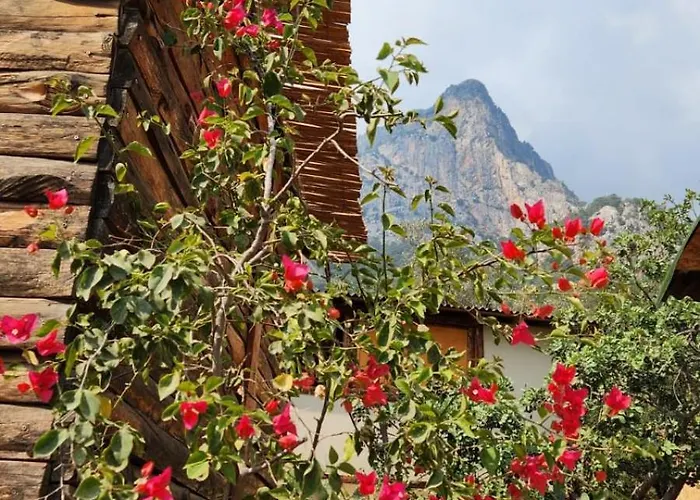 Alojamento de Acomodação e Pequeno-almoço Kabak Nova Camp Bungalovs Fethiye