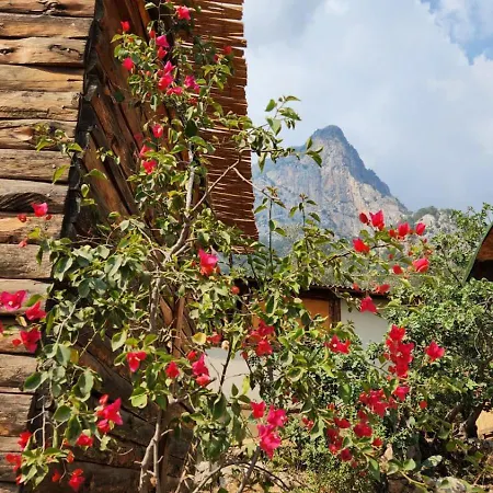 Oda ve Kahvaltı Kabak Nova Camp Bungalovs Fethiye